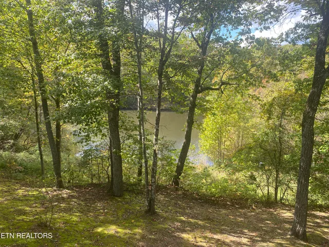 $110,000 | 281 Moytoy Road, Unit U107, Crab Orchard, TN 37723