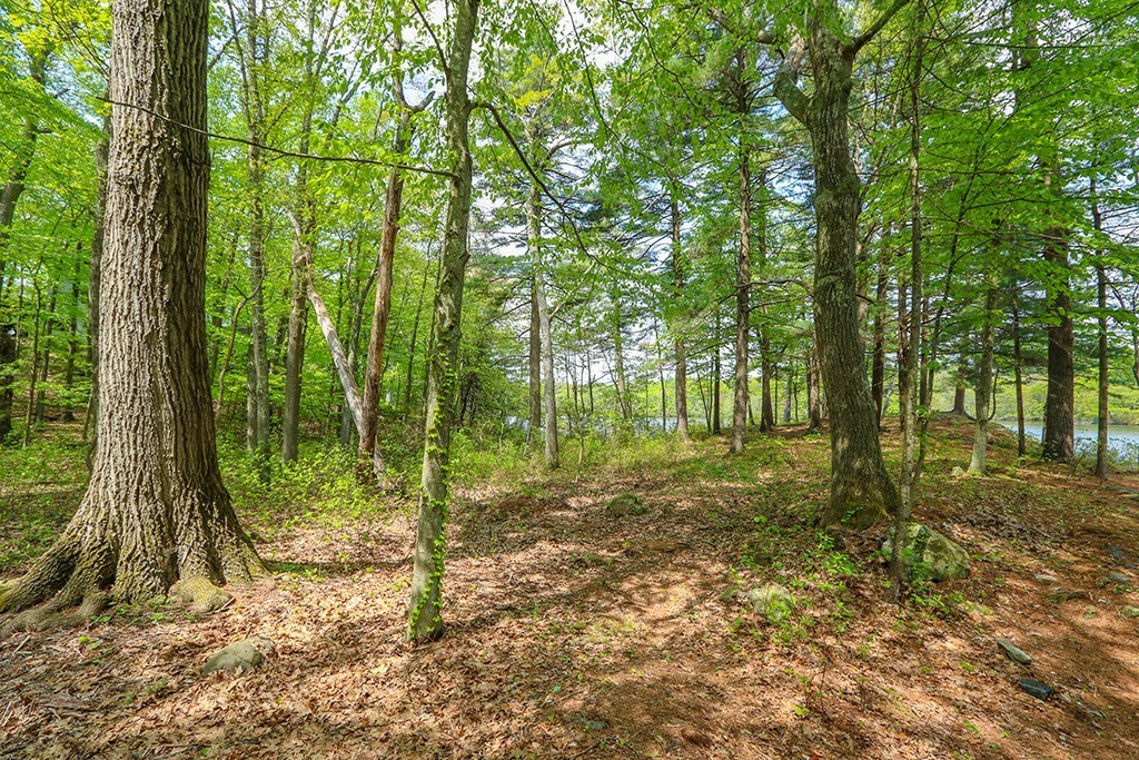161 Meadowbrook Road Dedham, MA 02026 - Photo 17 of 23 Gallery Image 17