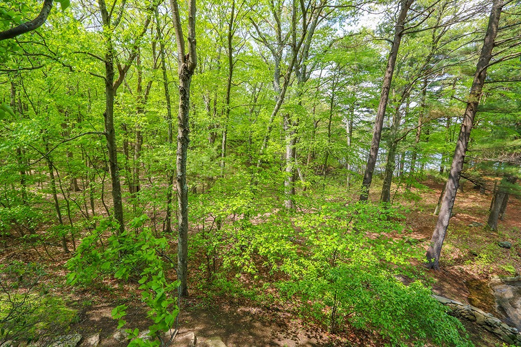 161 Meadowbrook Road Dedham, MA 02026 - Photo 19 of 23 Gallery Image 19