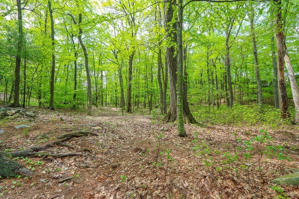 161 Meadowbrook Road Dedham, MA 02026 - Photo 2 of 23 Gallery Image 2