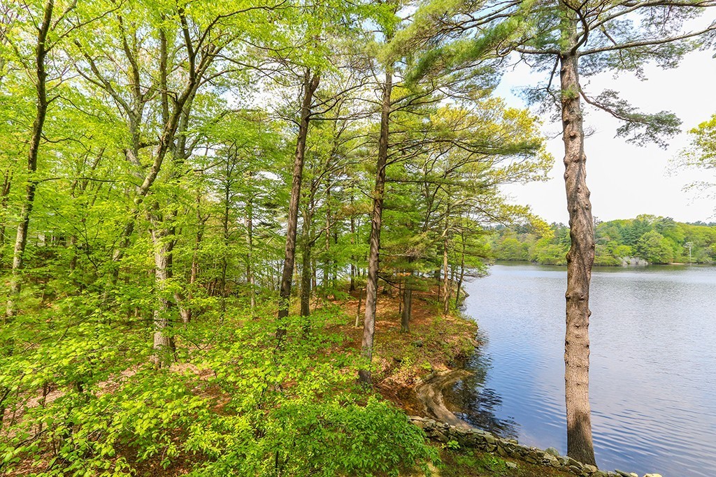 161 Meadowbrook Road Dedham, MA 02026 - Photo 22 of 23 Gallery Image 22