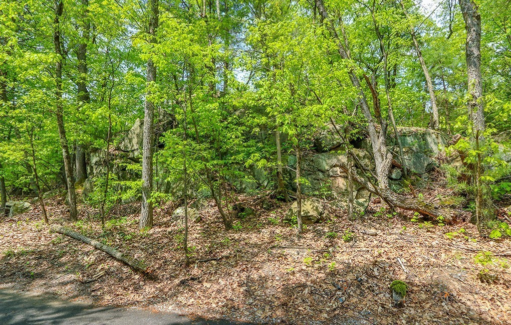 161 Meadowbrook Road Dedham, MA 02026 - Photo 3 of 23 Gallery Image 3