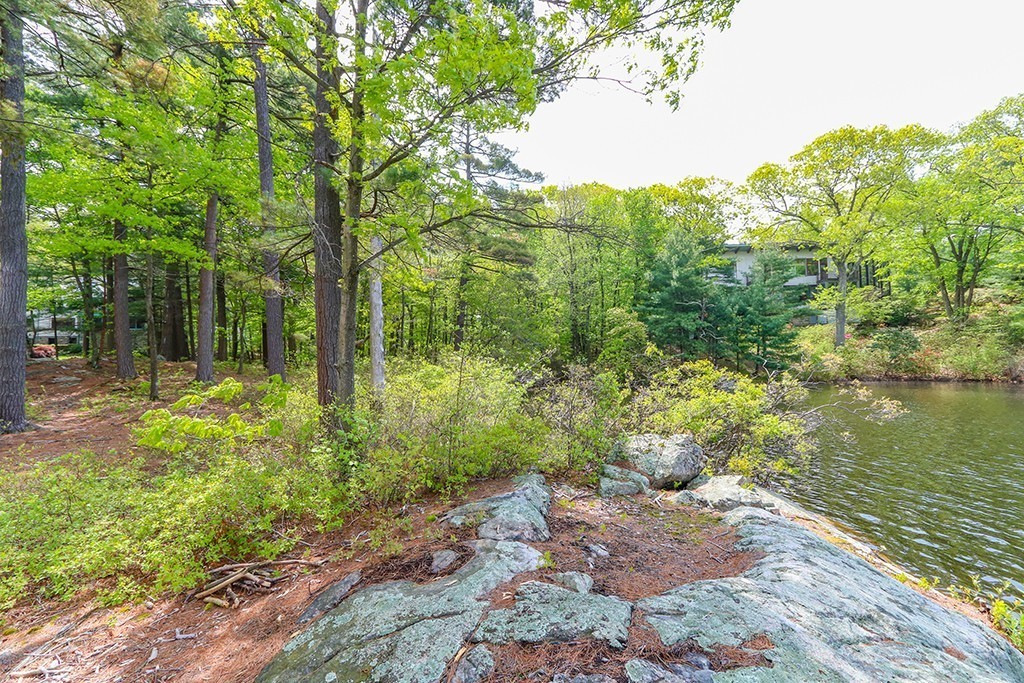 161 Meadowbrook Road Dedham, MA 02026 - Photo 6 of 23 Gallery Image 6