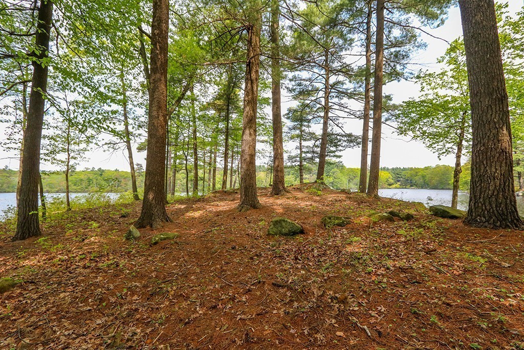 161 Meadowbrook Road Dedham, MA 02026 - Photo 7 of 23 Gallery Image 7