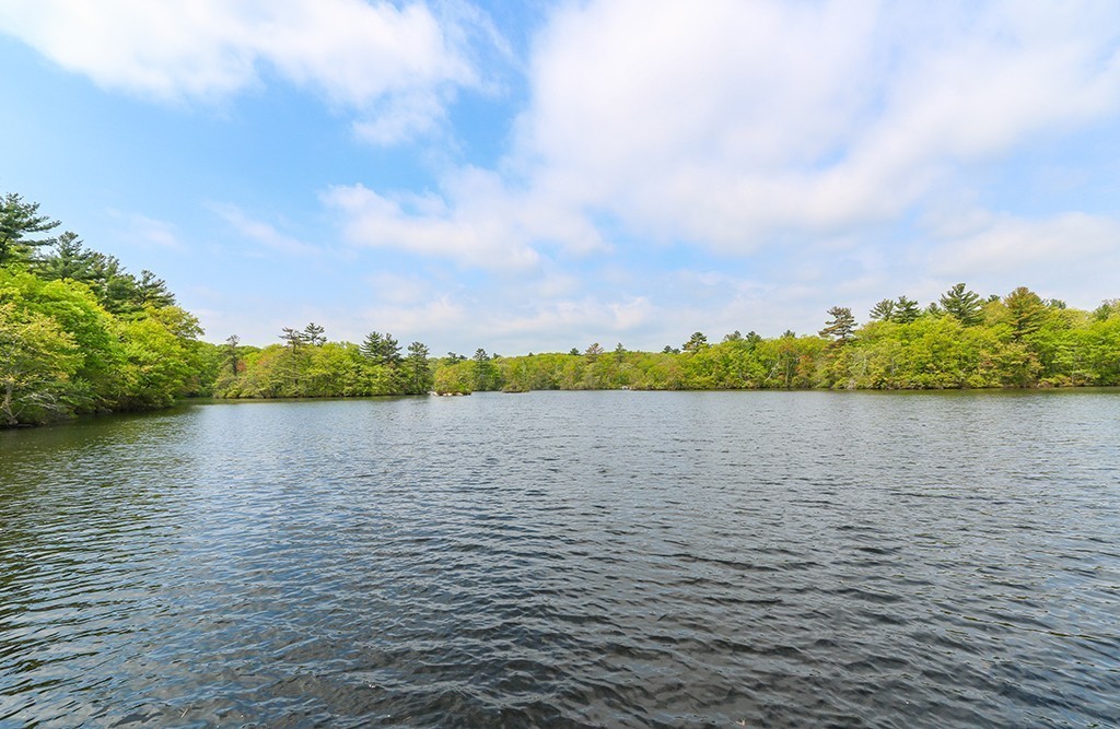 161 Meadowbrook Road Dedham, MA 02026 - Photo 9 of 23 Gallery Image 9