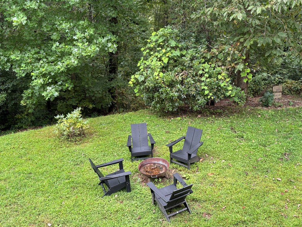 769 Indian Lake Road Topton, NC 28781 - Photo 30 of 44