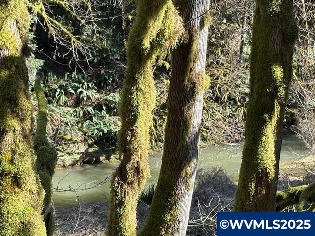 0 Logsden Road Blodgett, OR 97326 - Photo 22 of 24