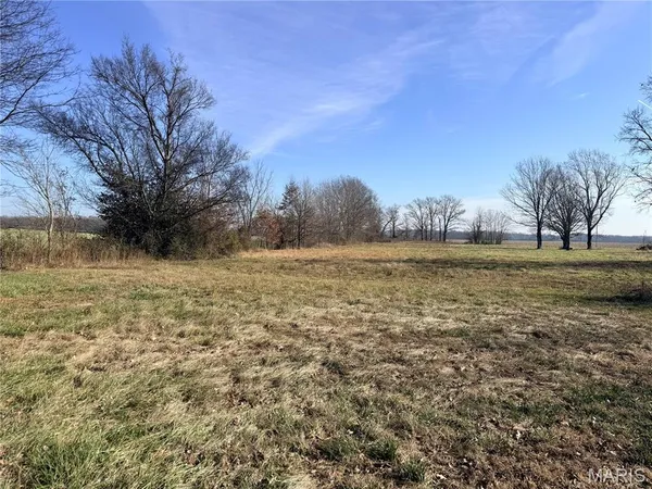 $60,000 | 826 Bcr 636, Sturdivant, MO 63782