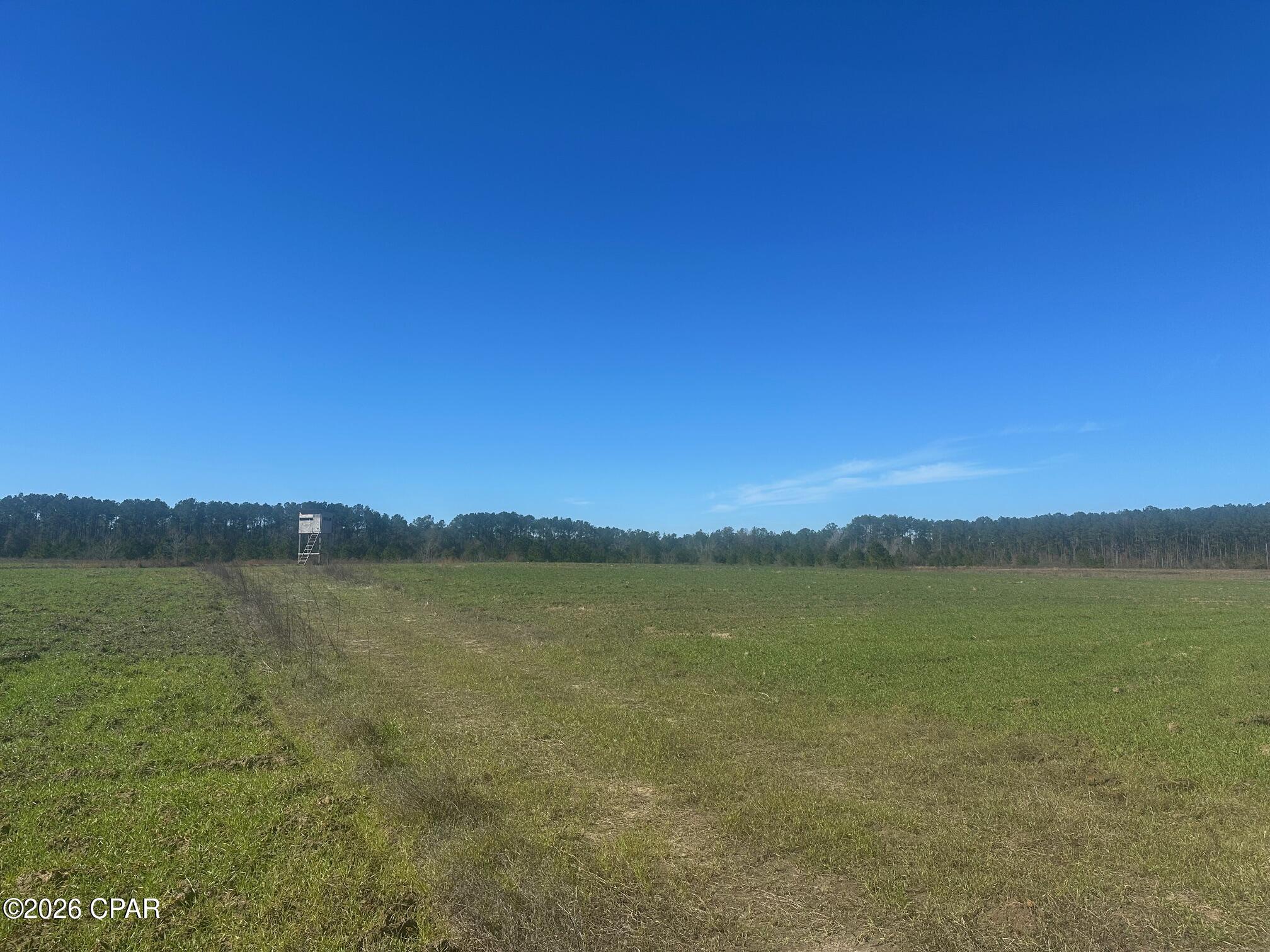 0 River Road Sneads, FL 32460 - Photo 21 of 23