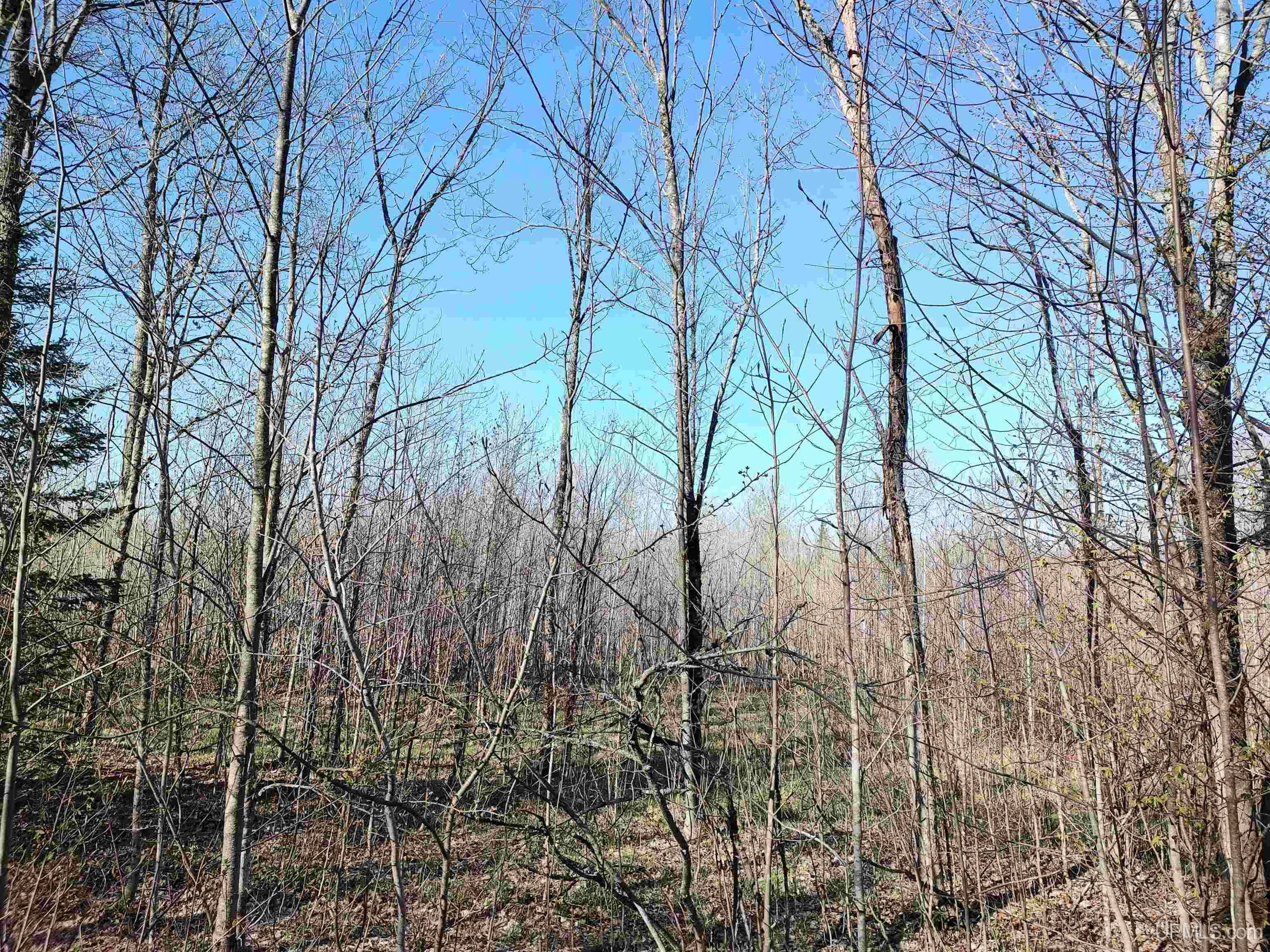 Tbd Tbd Schooner Road Ontonagon, MI 49953 - Photo 33 of 44