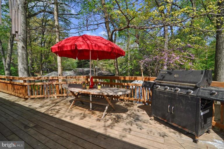 3419 Pendleton Drive Silver Spring, MD 20902 - Photo 27 of 30 Deck - View from