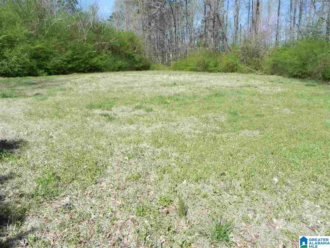 5421 Birmingport Road Mulga, AL 35118 - Photo 10 of 13
