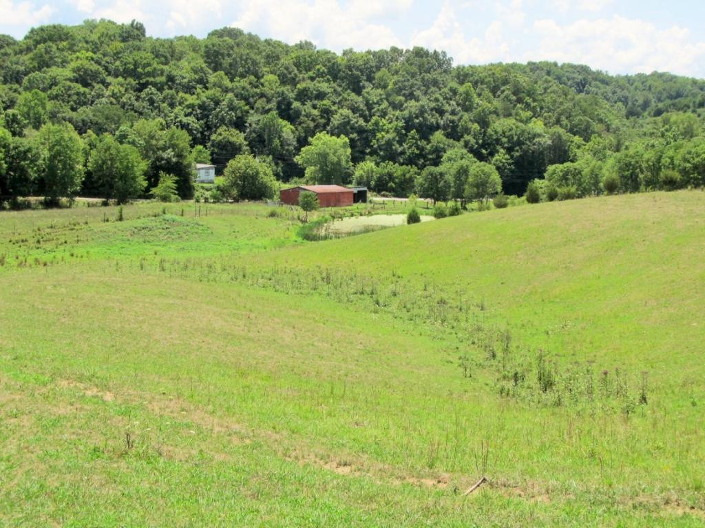 2129 Dulaney Road Greeneville, TN 37743 - Photo 33 of 36 Photo 33
