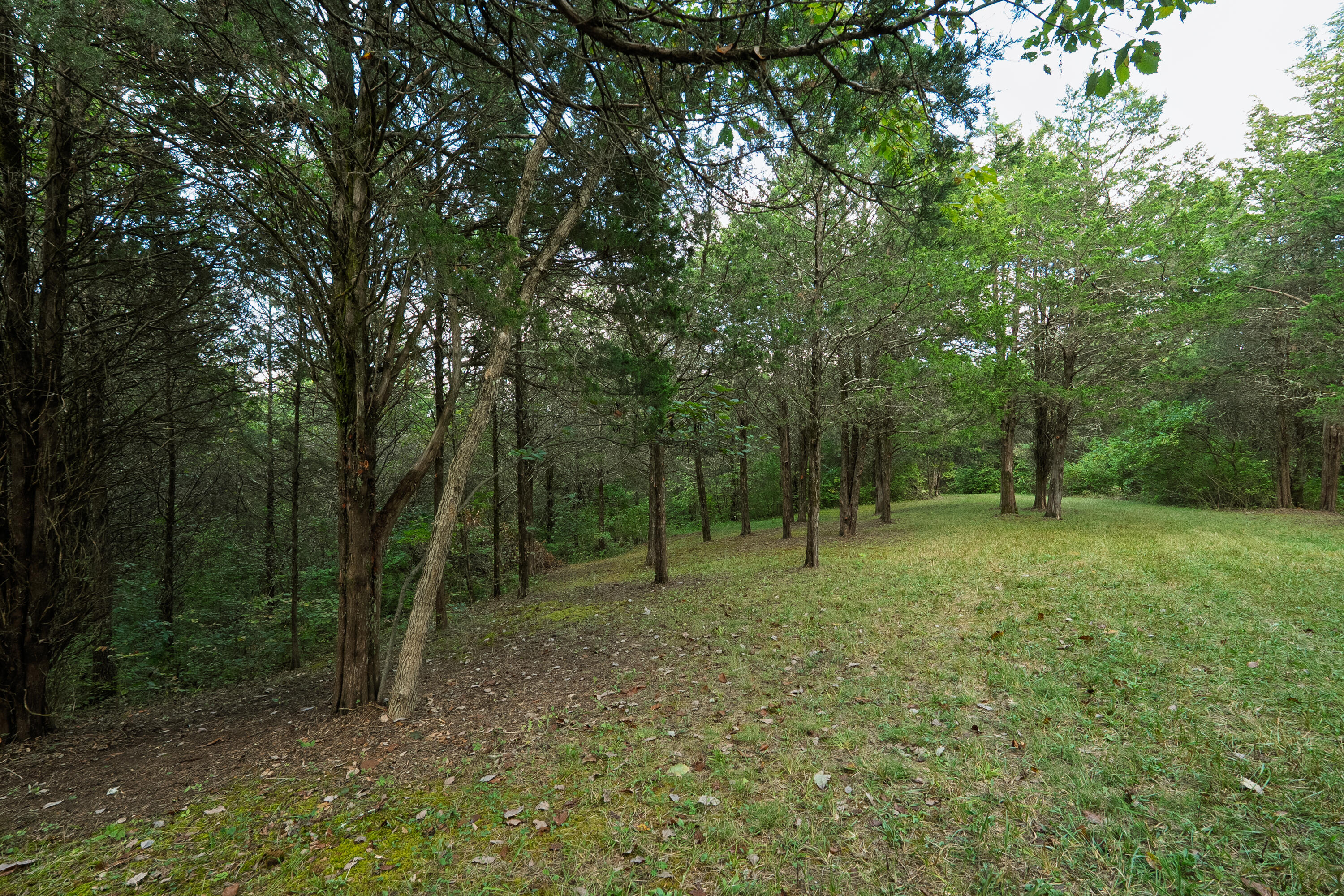 3926 Hogg Ridge Road Williamstown, KY 41097 - Photo 64 of 92 Hogg3846-14