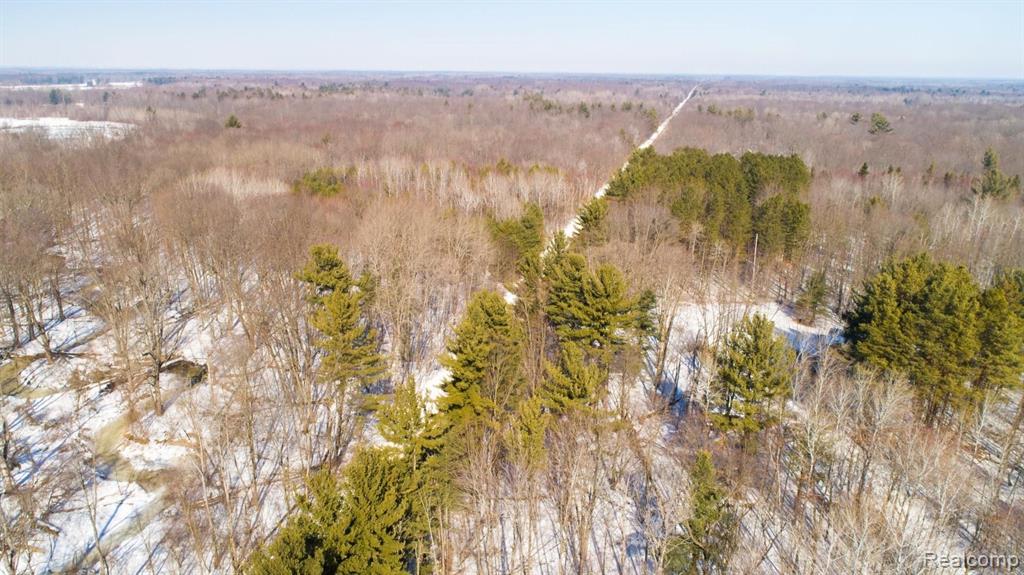 3637 South Loomis Road Mount Pleasant, MI 48858 - Photo 37 of 76 Gallery Image 37