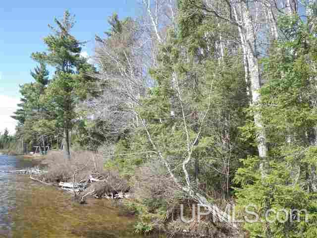 Tbd Grant Lake Road, Unit PARCEL 4 Republic, MI 49879 - Photo 2 of 8
