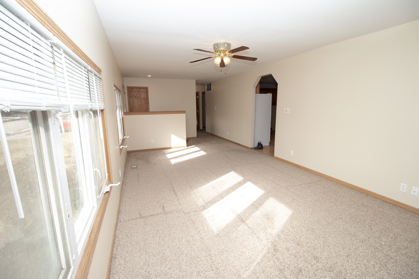 222 Healy Avenue Romeoville, IL 60446 - Photo 5 of 11