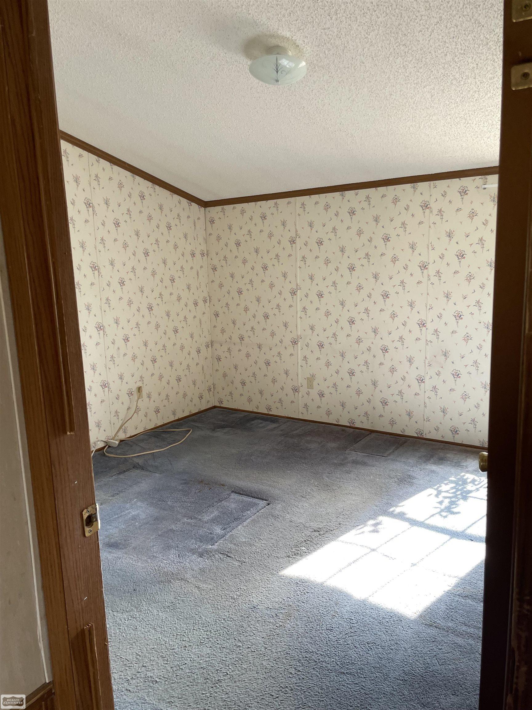 13698 Kaufman Road Capac, MI 48014 - Photo 7 of 16 50092674-6.JPG