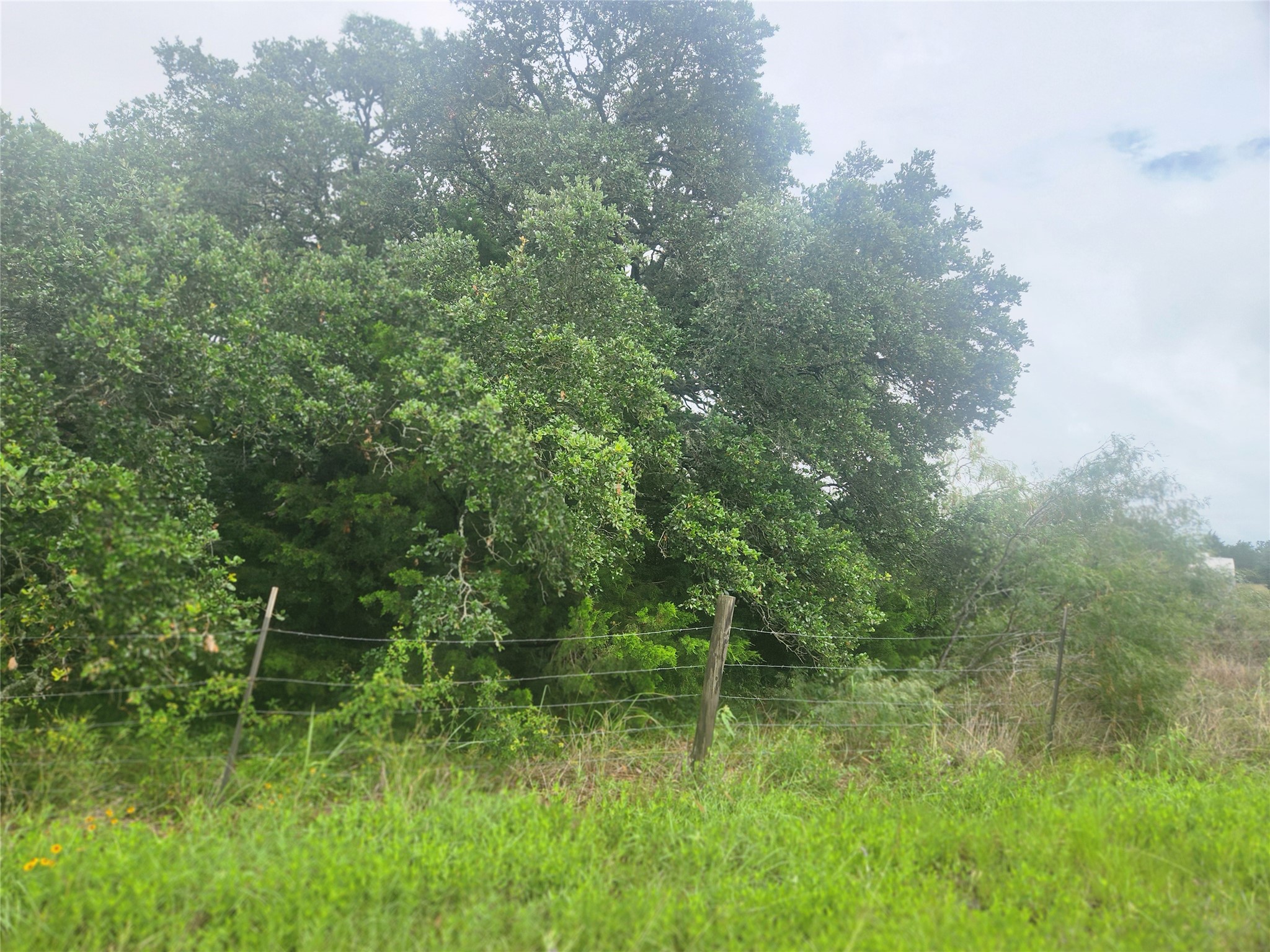 7600 Race Track Road La Grange, TX 78945 - Photo 4 of 13