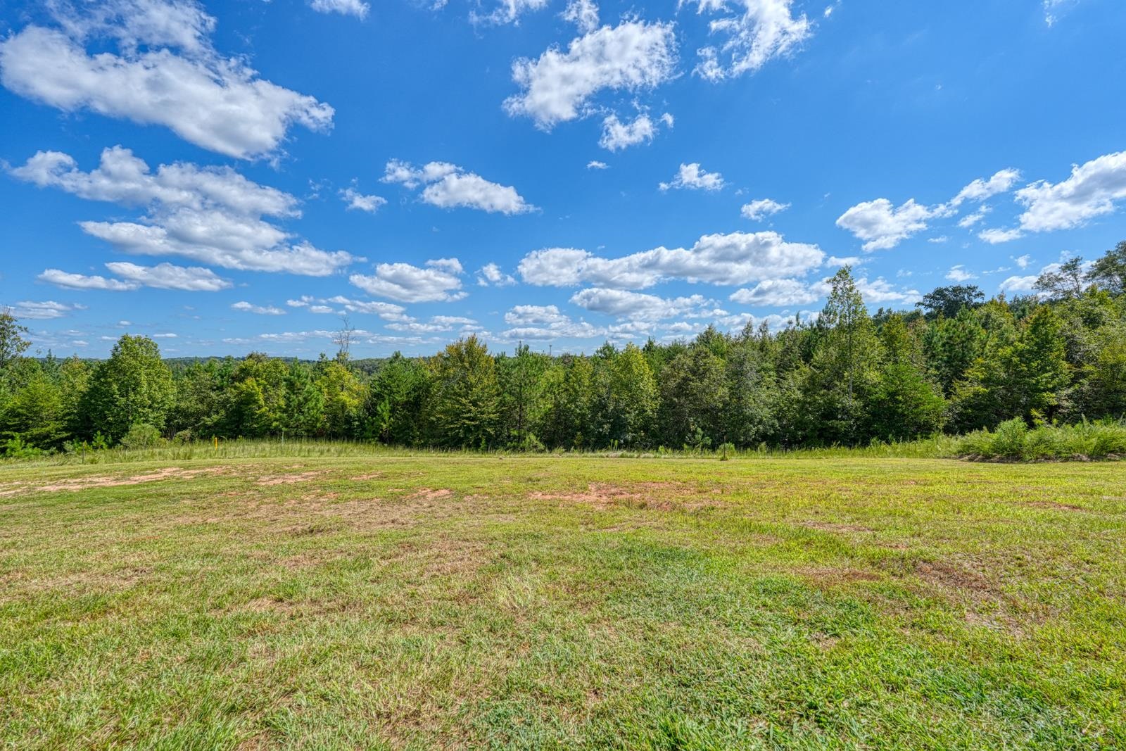 220-230 State Rd S-42-343 Enoree, SC 29335 - Photo 40 of 47