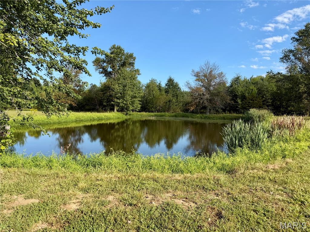 5823 McDaneld Road Kell, IL 62853 - Photo 81 of 86 Gallery Image 81