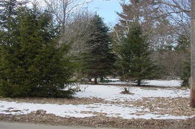 Jefferson Road Morley, MI 49336 - Photo 1 of 1 Primary Photo