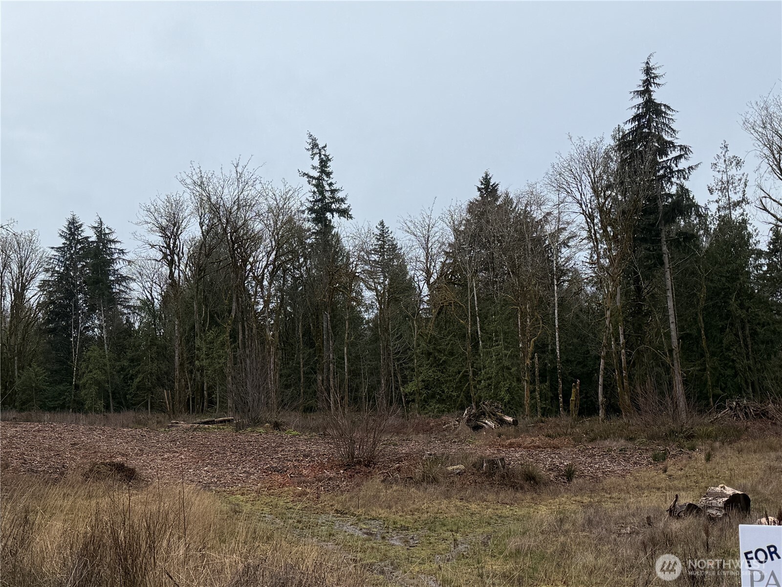 10-track 10-track Rimstone Loop Belfair, WA 98528 - Photo 1 of 5 a view of a forest with trees in the background