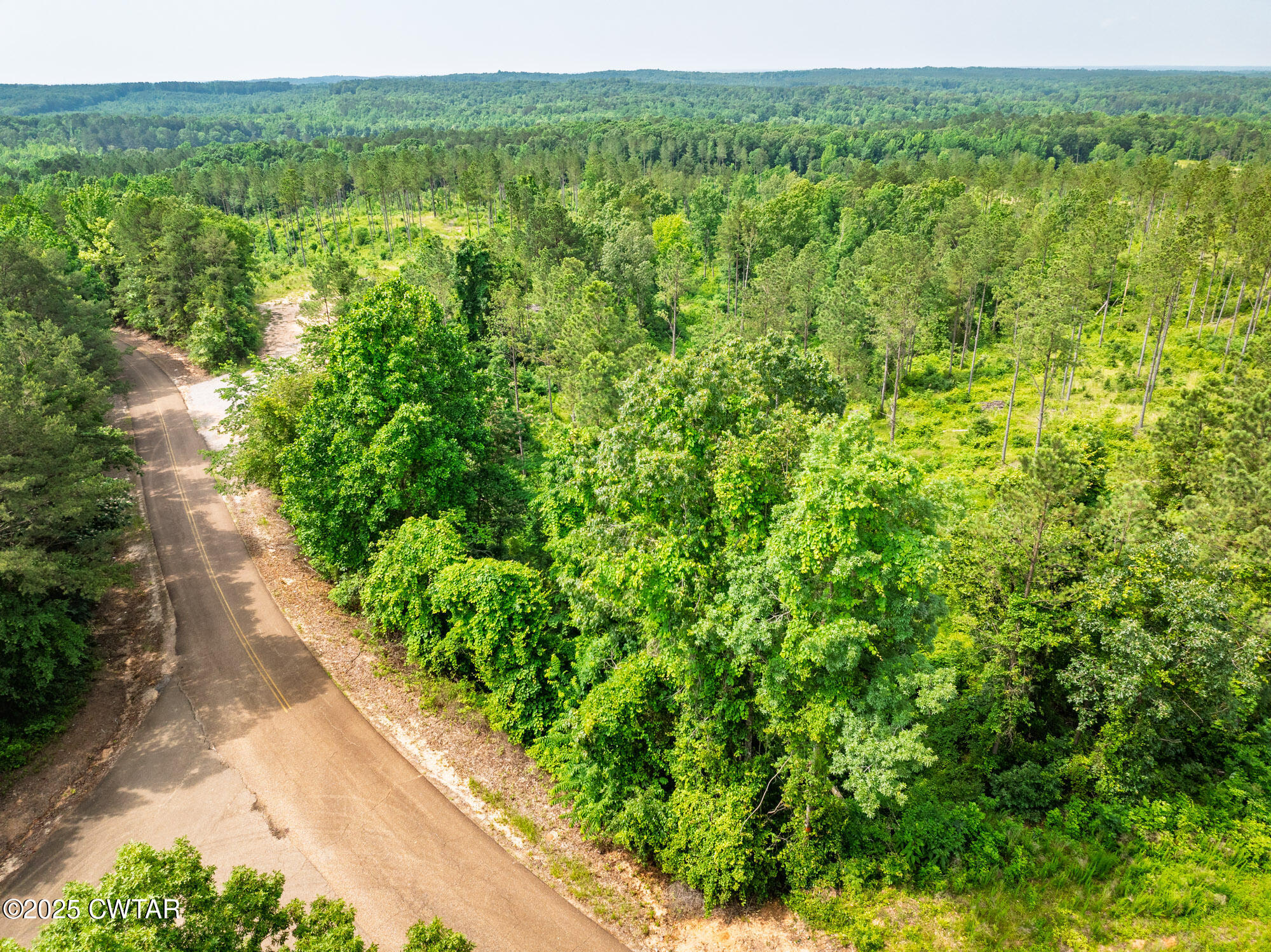a view of a green field with lots of bushes