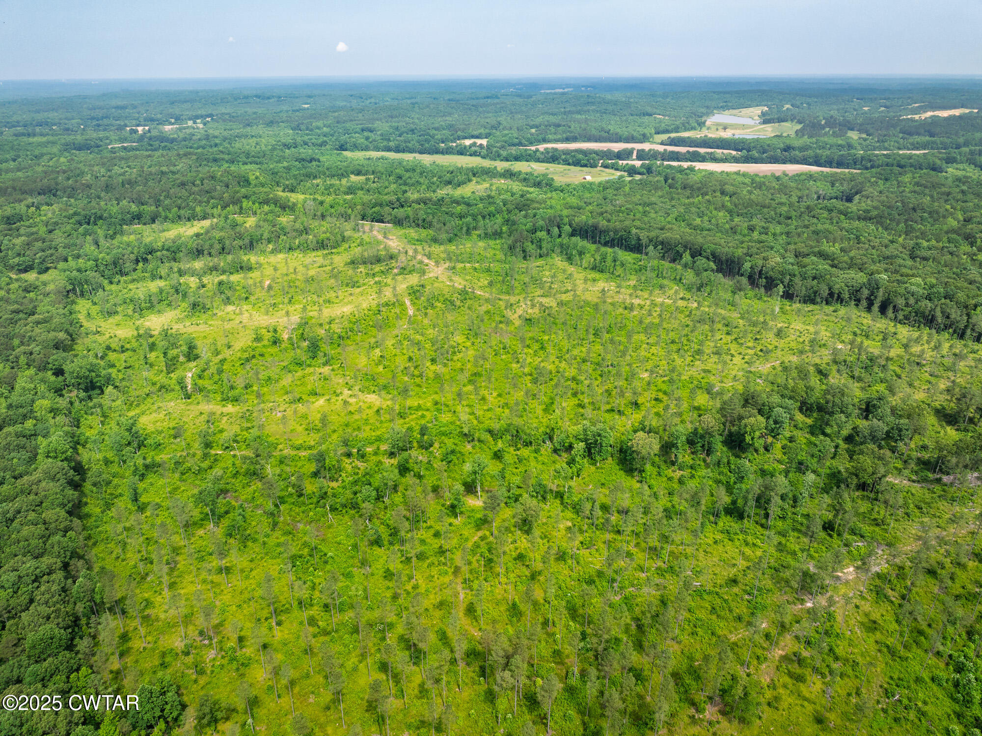 0 Harris Road Bolivar, TN 38008 - Photo 5 of 31 a view of a field with an ocean view