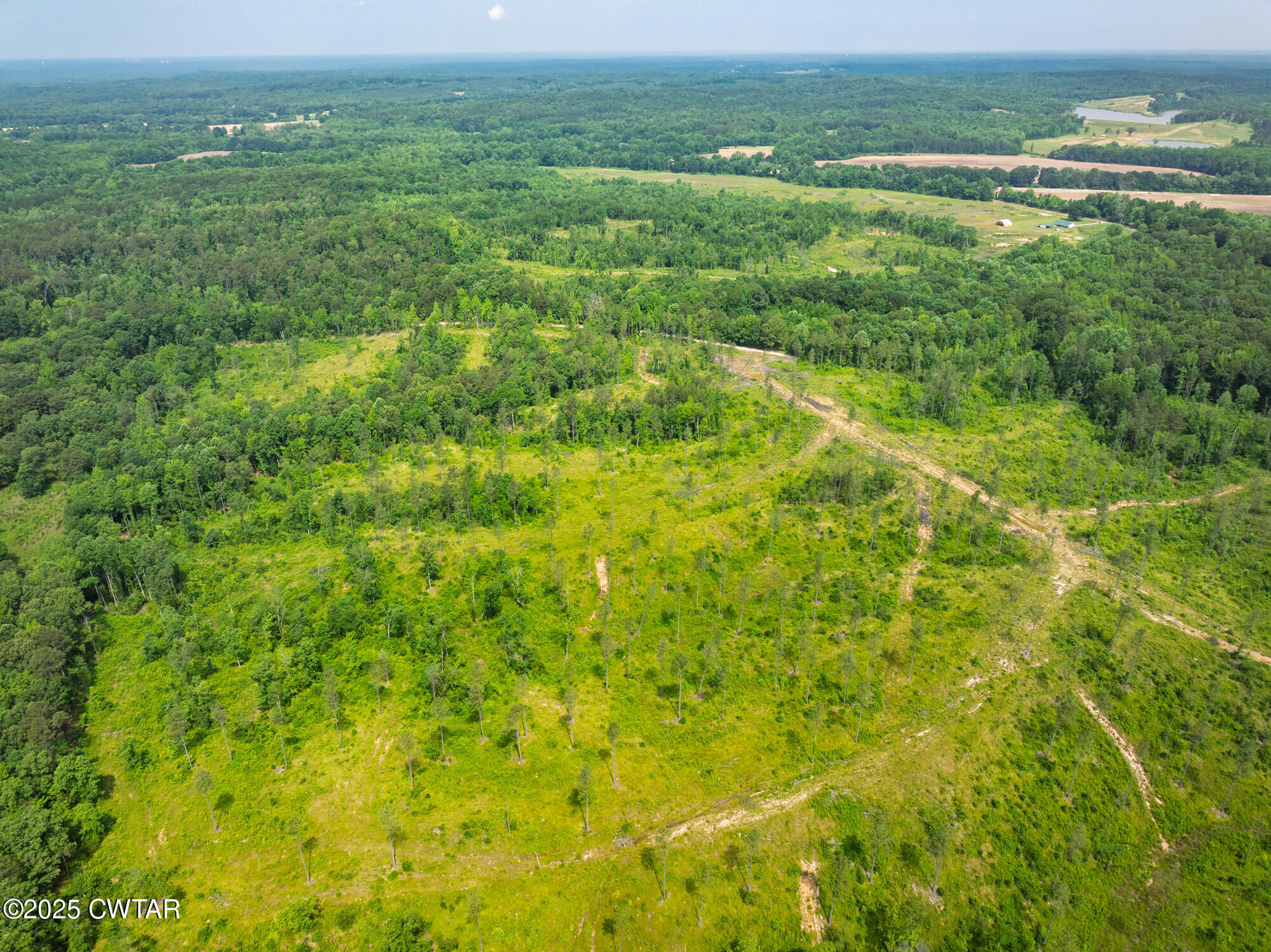 0 Harris Road Bolivar, TN 38008 - Photo 6 of 31 a view of a field with an ocean