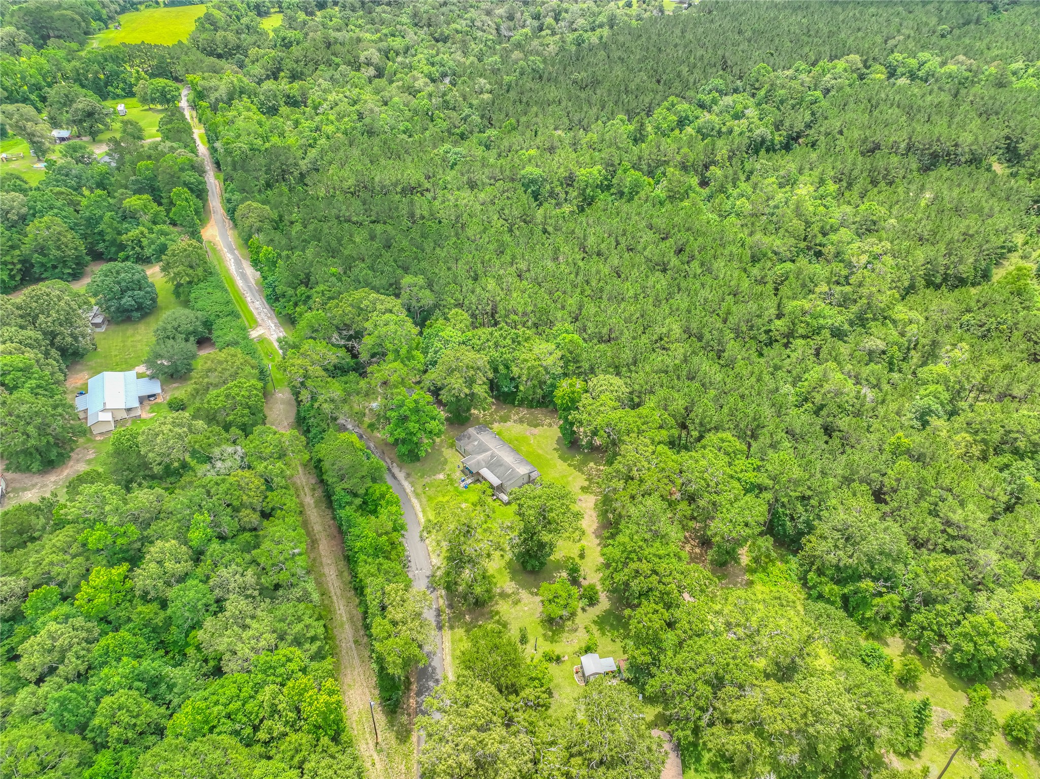 657 Parrish Road Livingston, TX 77351 - Photo 41 of 47 a view of a lush green forest