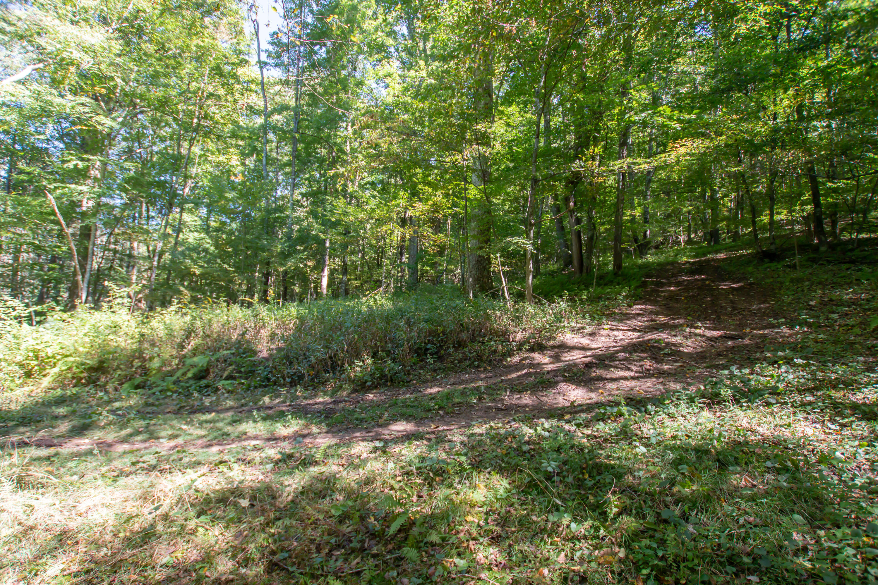 Tbd Rhymer Road, Unit 9 Damascus, VA 24236 - Photo 1 of 10 13.37 Acres - Rhymer Road, Damascus, VA