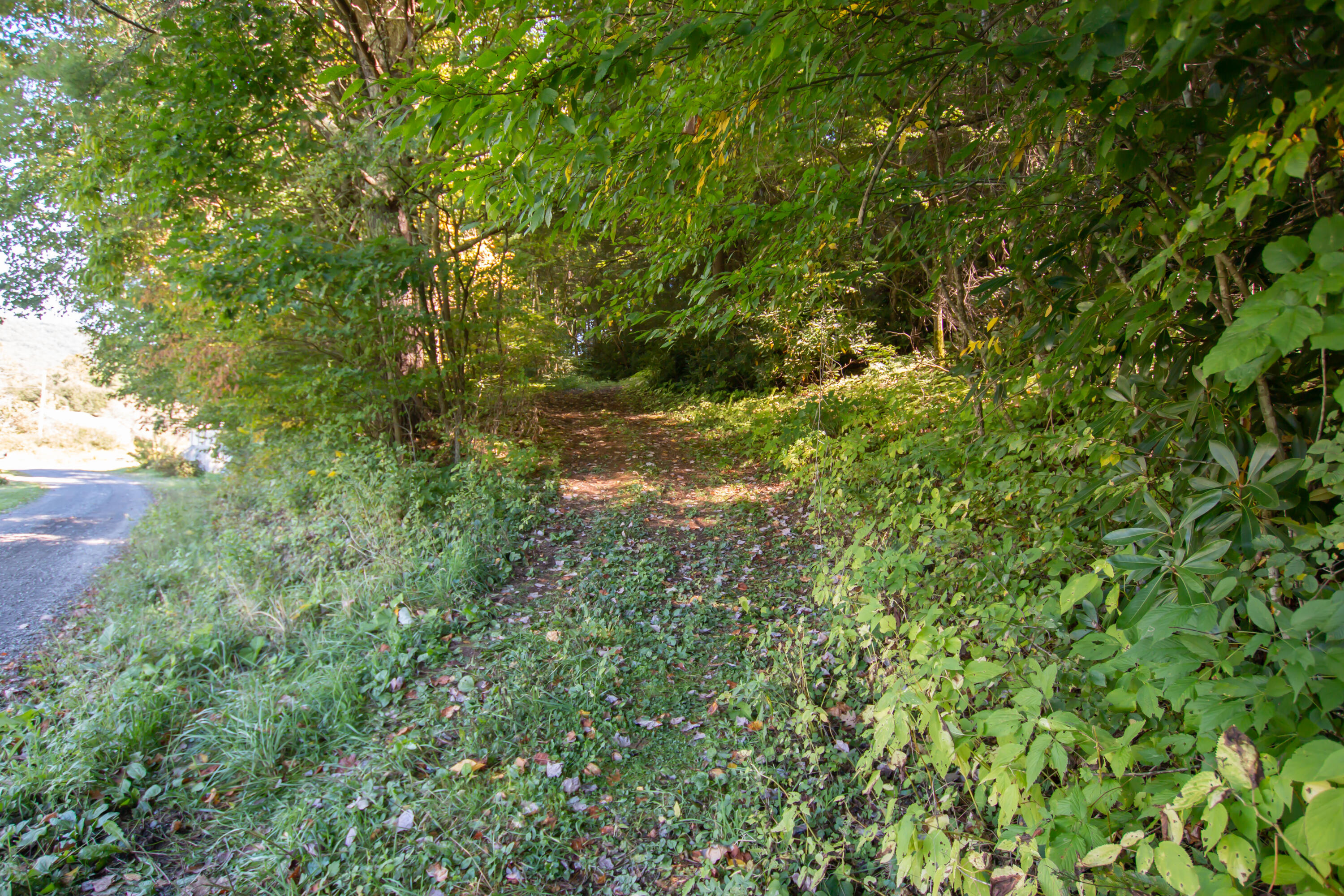 Tbd Rhymer Road, Unit 9 Damascus, VA 24236 - Photo 2 of 10 13.37 Acres - Rhymer Road, Damascus, VA