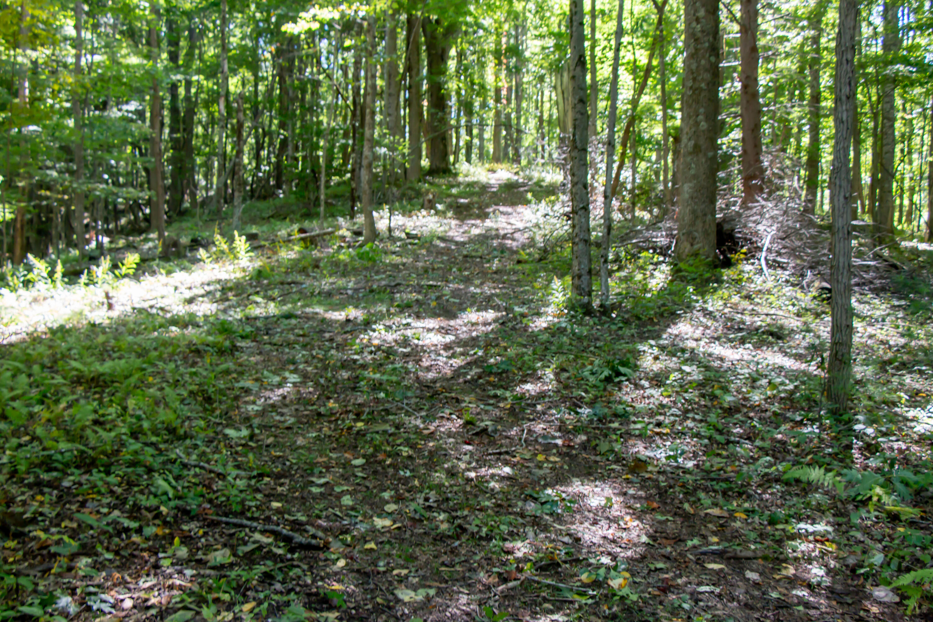 Tbd Rhymer Road, Unit 9 Damascus, VA 24236 - Photo 5 of 10 13.37 Acres - Rhymer Road, Damascus, VA