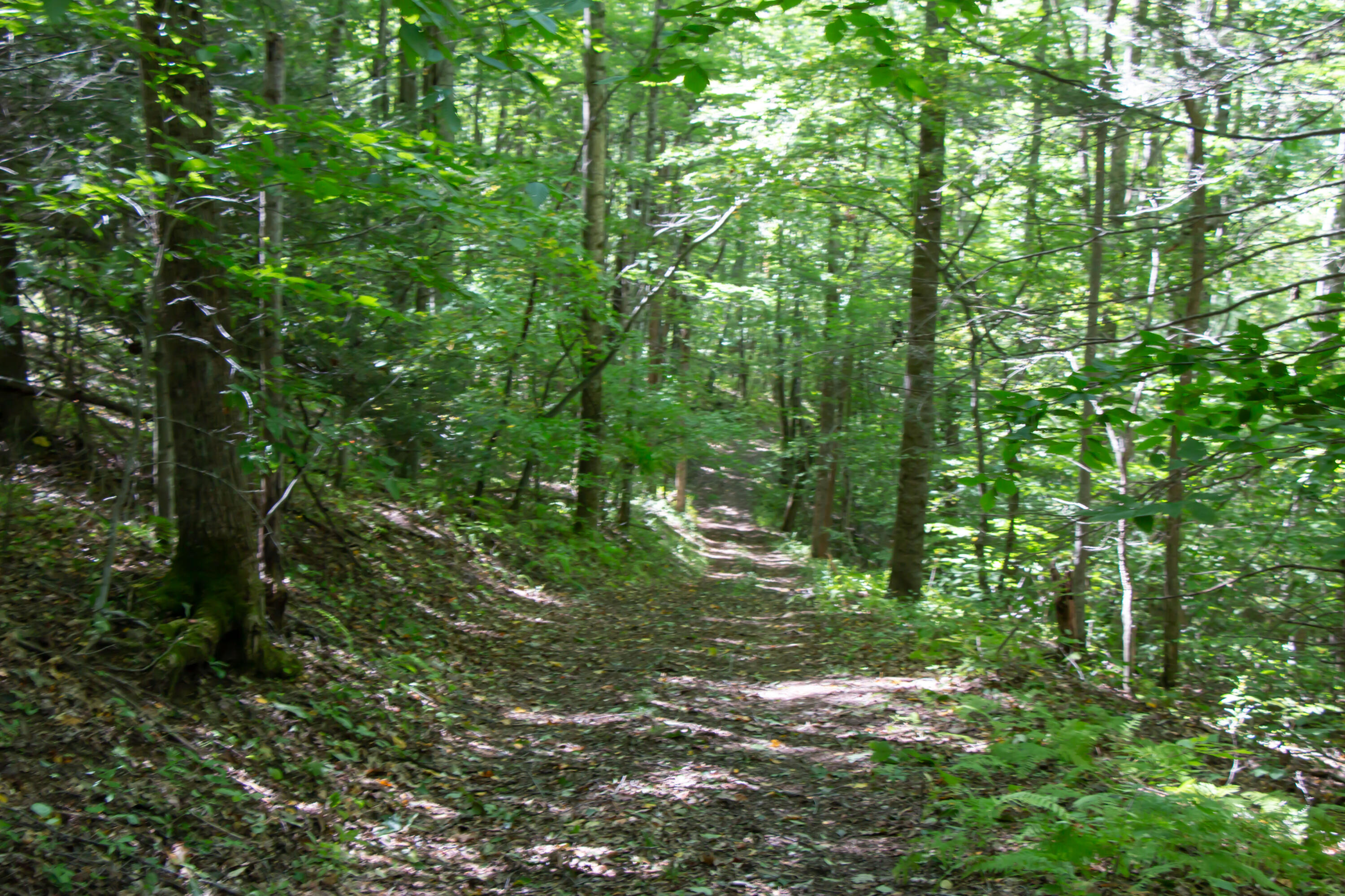 Tbd Rhymer Road, Unit 9 Damascus, VA 24236 - Photo 6 of 10 13.37 Acres - Rhymer Road, Damascus, VA