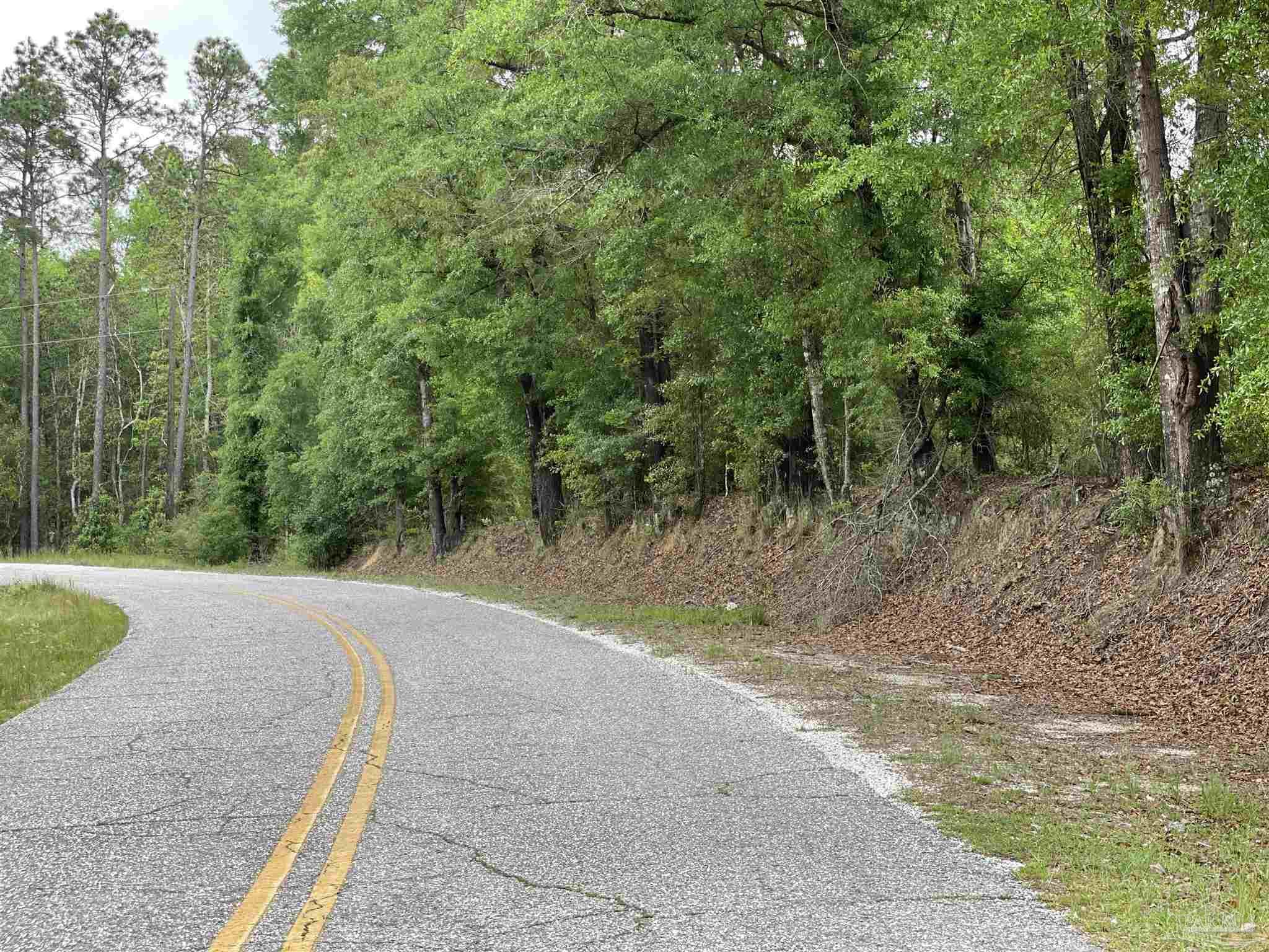 L Upper Creek Road Flomaton, AL 36441 - Photo 1 of 6