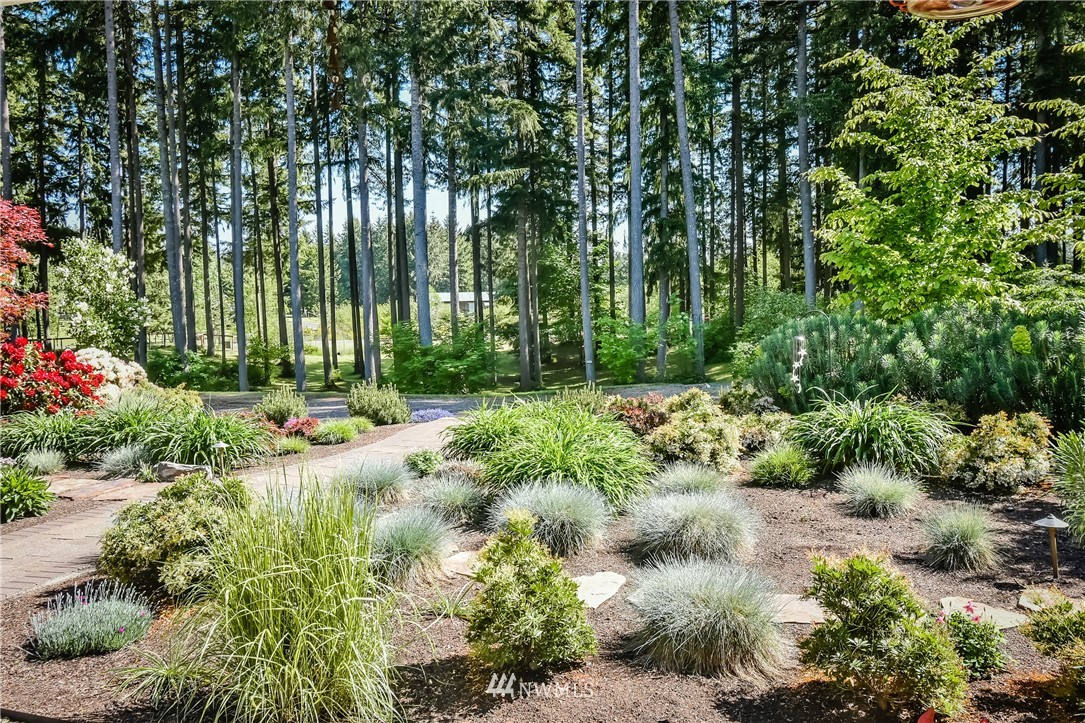 5124 133rd Avenue Southwest Rochester, WA 98579 - Photo 32 of 36 a view of a garden with plants and large trees