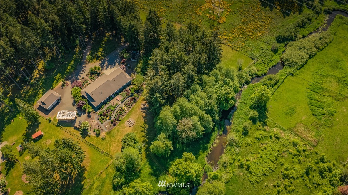 5124 133rd Avenue Southwest Rochester, WA 98579 - Photo 7 of 36 a view of a yard with plants