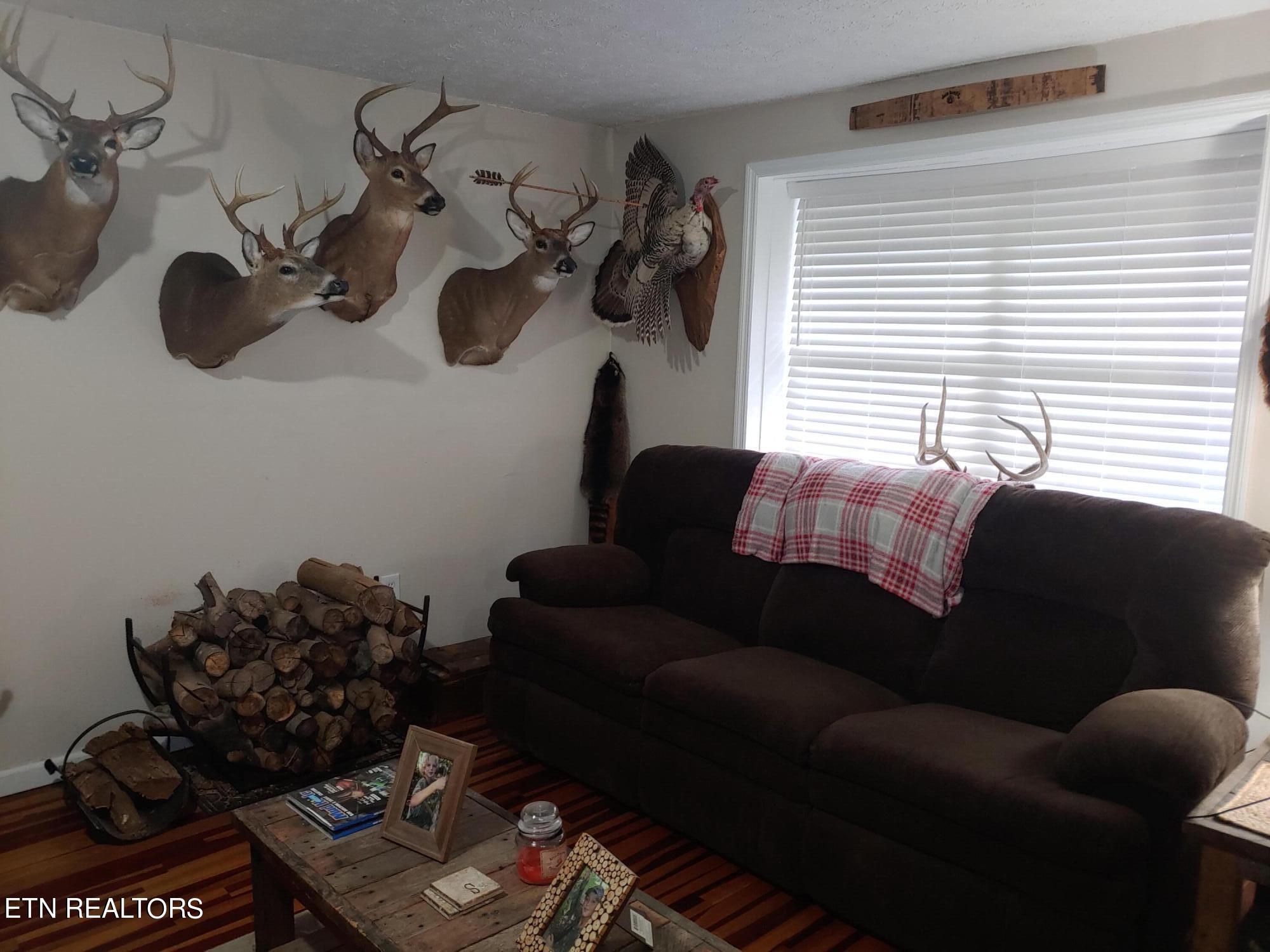 2022 Cecil Johnson Road Knoxville, TN 37921 - Photo 15 of 19 Downstairs Den