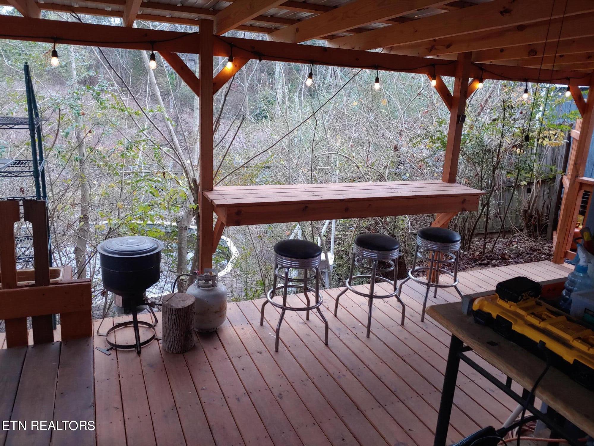2022 Cecil Johnson Road Knoxville, TN 37921 - Photo 6 of 19 Side Porch