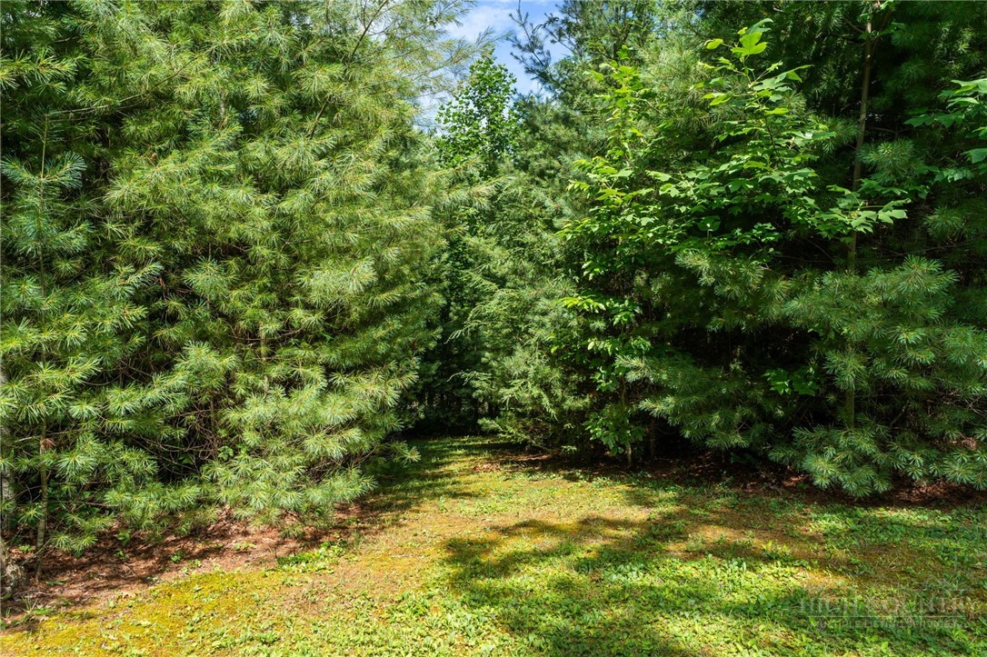 9081 Pittmans Gap Road Newland, NC 28657 - Photo 40 of 49