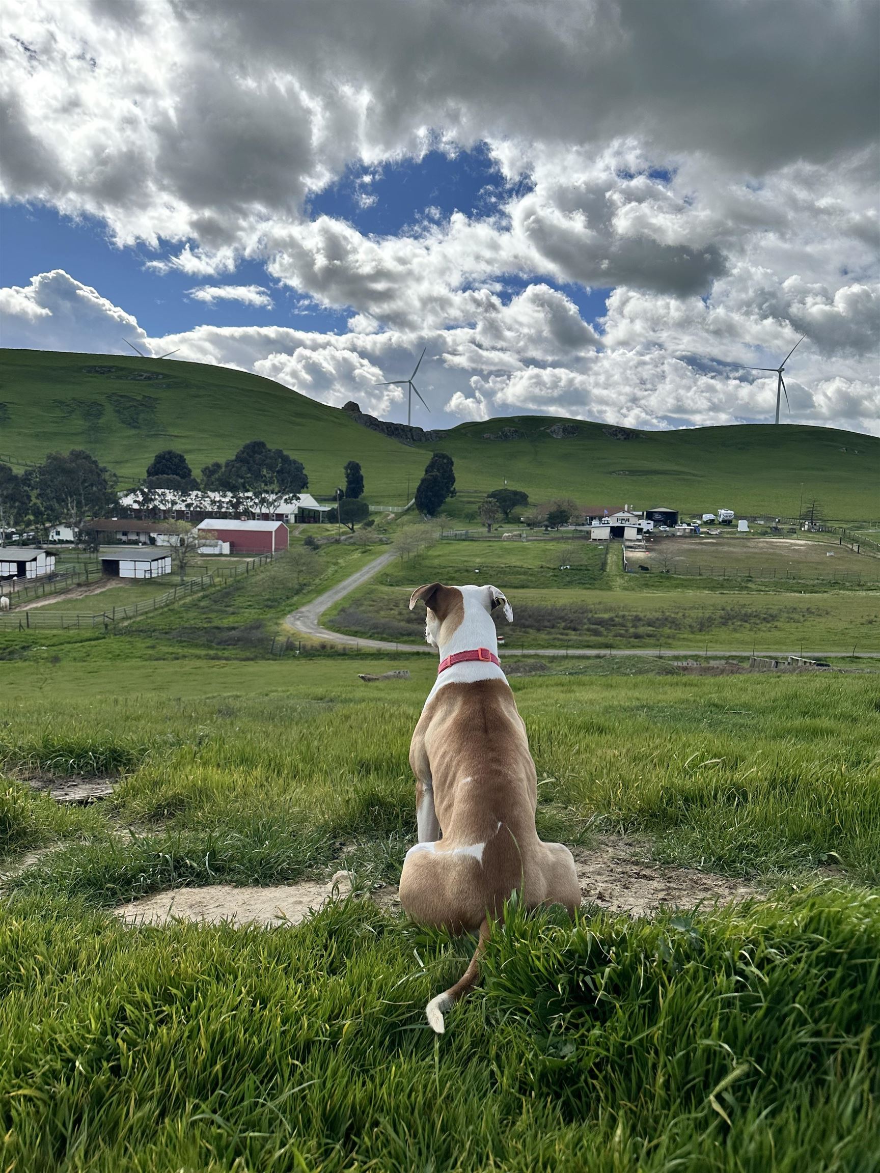 3326 Dyer Road Livermore, CA 94551 - Photo 46 of 46