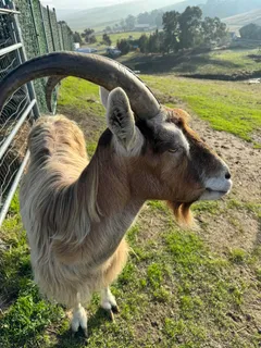 a view of an ocean with outdoor space