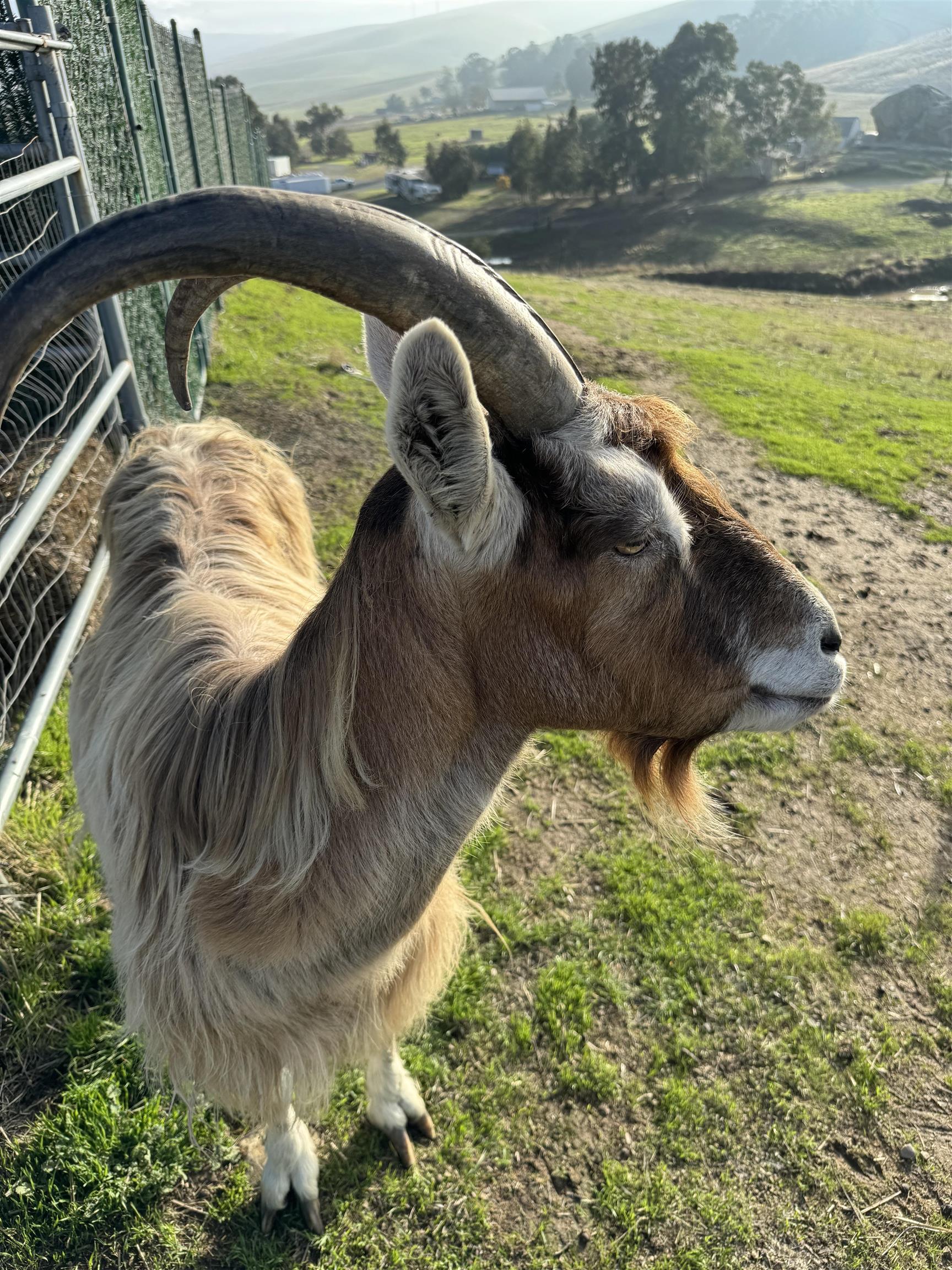 3326 Dyer Road Livermore, CA 94551 - Photo 8 of 46