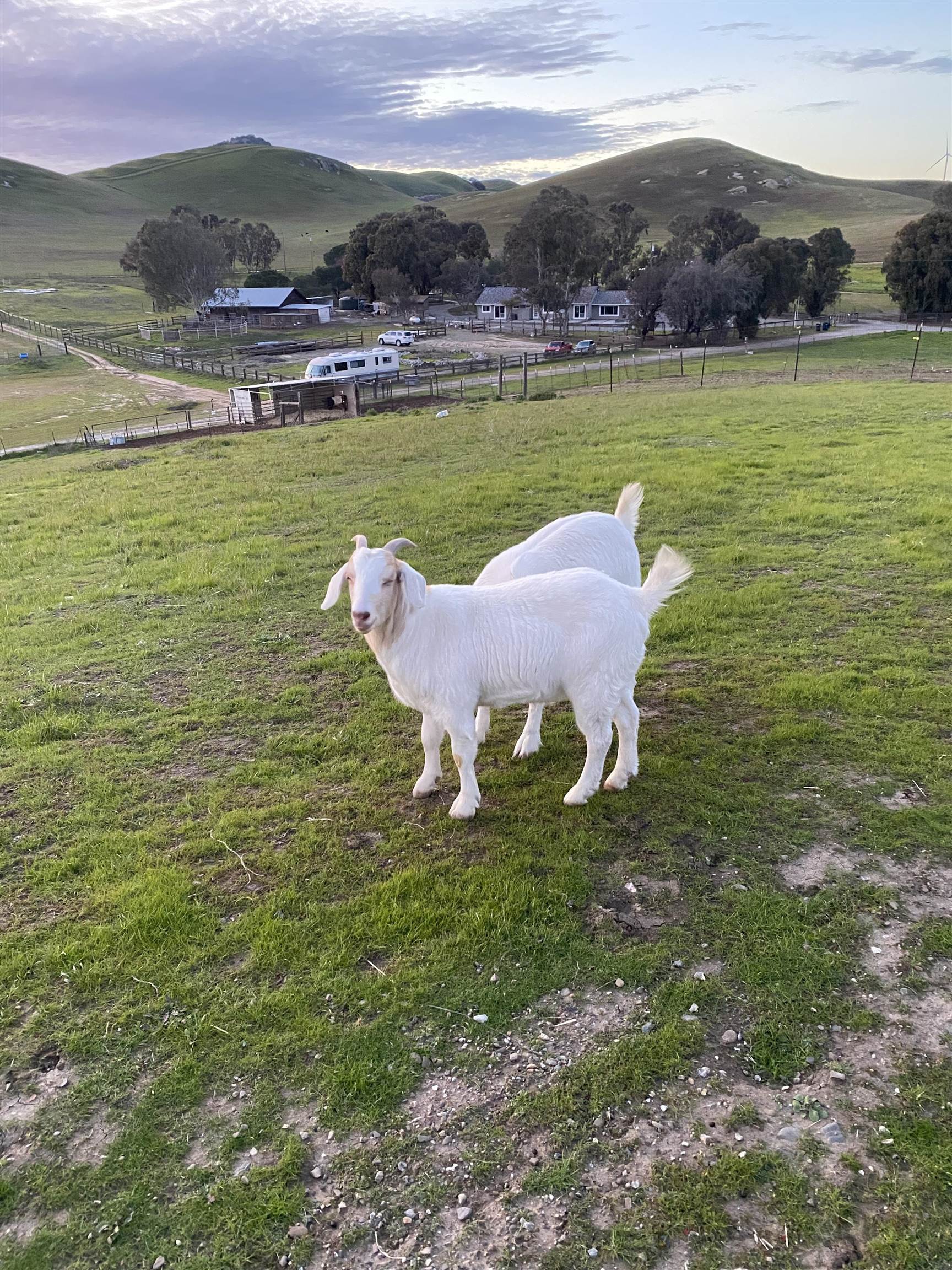 3326 Dyer Road Livermore, CA 94551 - Photo 9 of 46