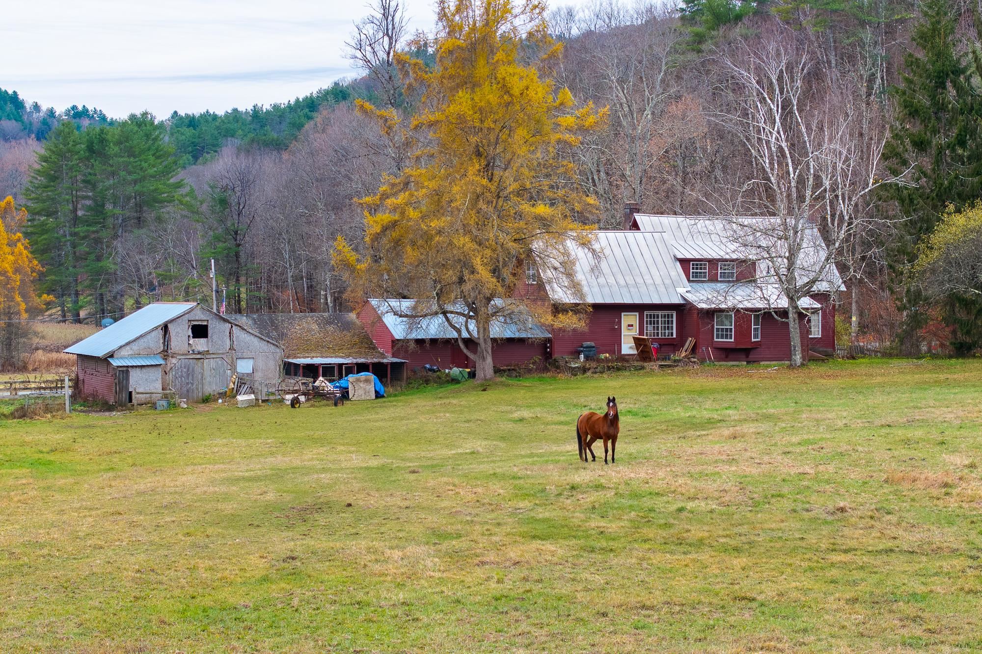 298 Jenneville Road Hartland, VT 05089 - Photo 5 of 57