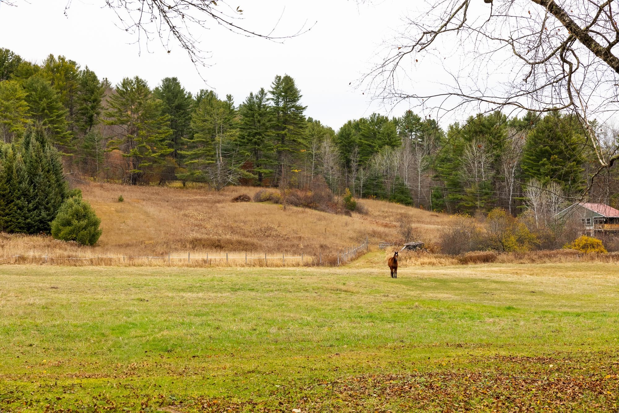 298 Jenneville Road Hartland, VT 05089 - Photo 53 of 57