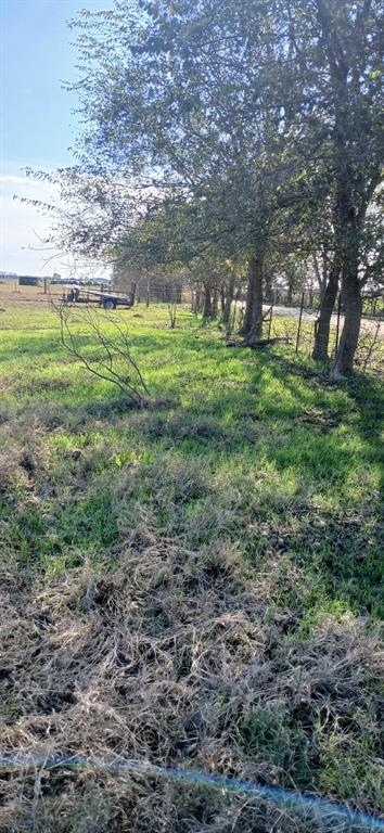 129 County Road 129 Marlin, TX 76661 - Photo 21 of 27 a view of outdoor space with trees all around