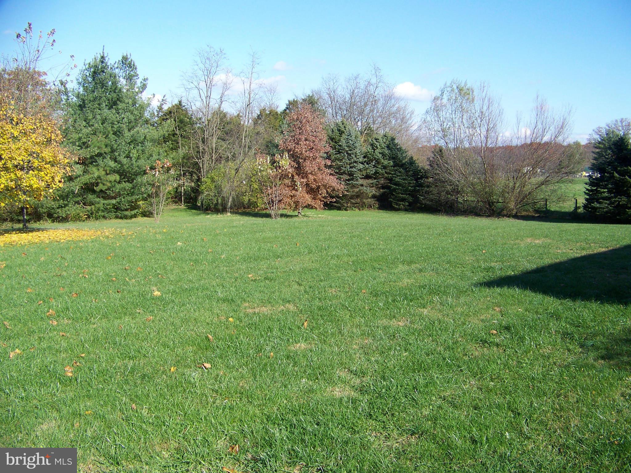 6360 Keysville Road Keymar, MD 21757 - Photo 3 of 5 Back yard