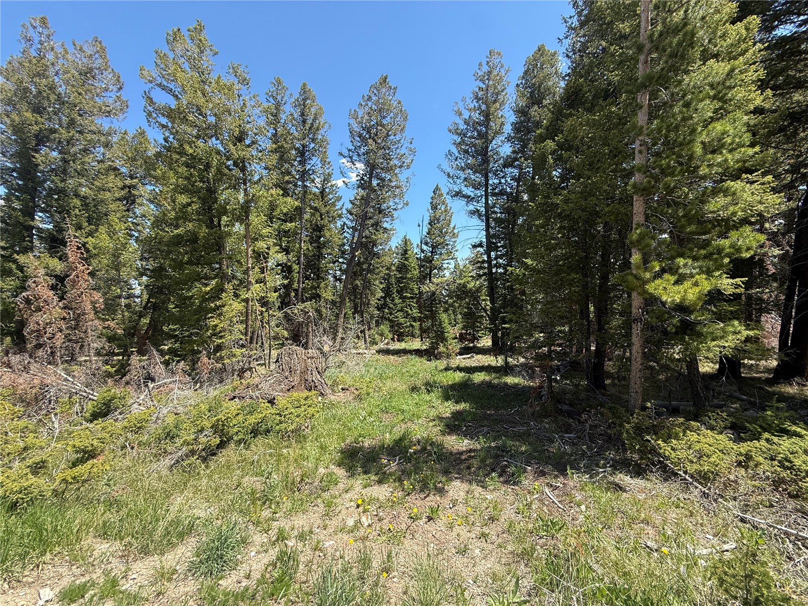 Tbd Spring Creek Ranch Road Silverthorne, CO 80498 - Photo 28 of 48